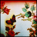 butterfly.jpg