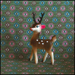 cutiedeer.jpg