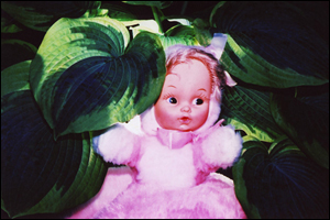 leafy2.jpg