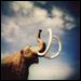 mammoth.jpg