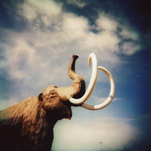 mammoth2.jpg