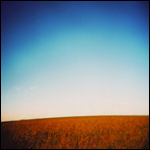 prairiesq.jpg